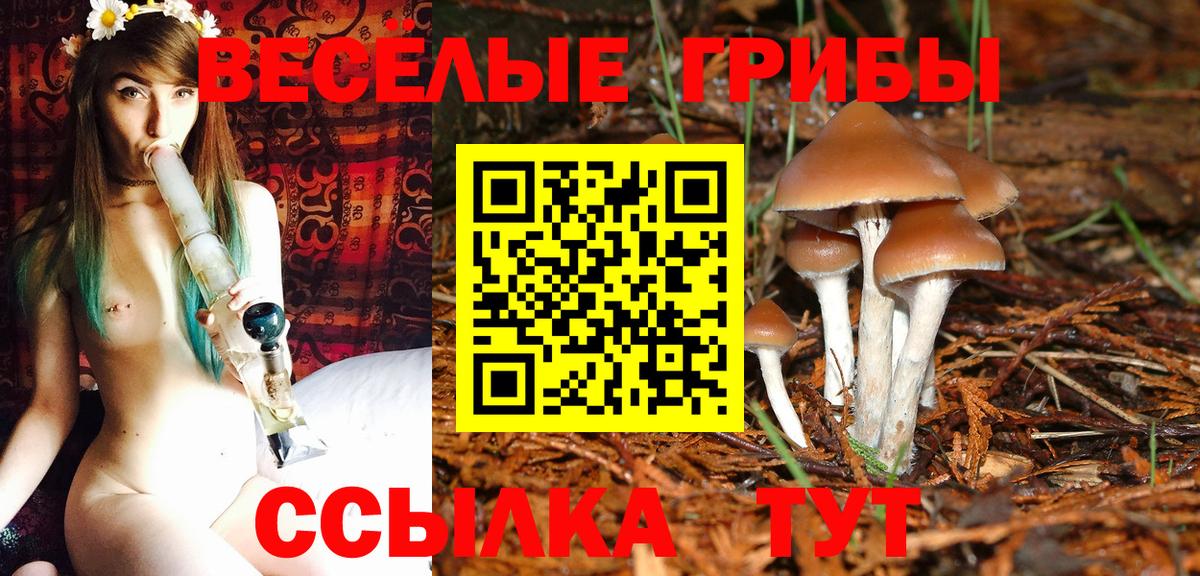 ГАШИШ Ефремов