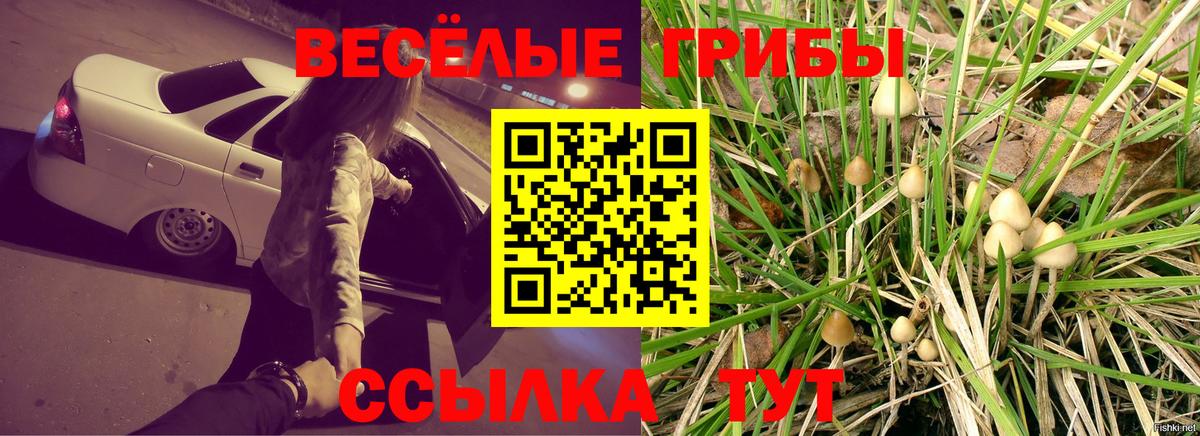 Галлюциногенные грибы MAGIC MUSHROOMS Ефремов