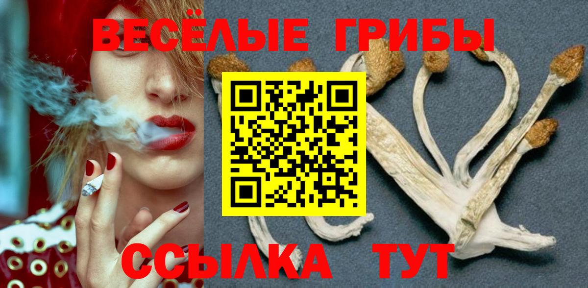Ефремов  Галлюциногенные грибы ЛСД  Вход с VPN 