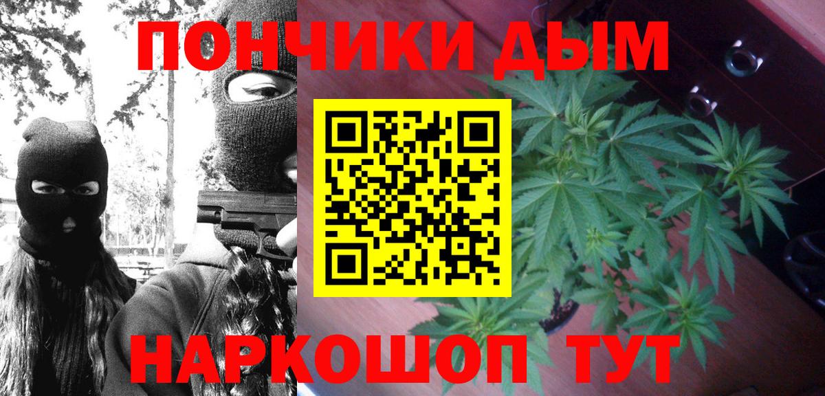 Каннабис OG Kush Ефремов